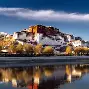 最新：Scout“开门红”的简单介绍|fg电玩模拟器